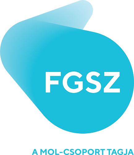 logo fgsz